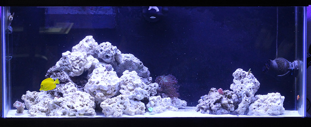 FTS